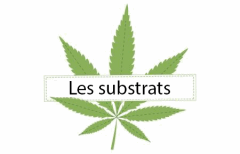 Titre Les substrats