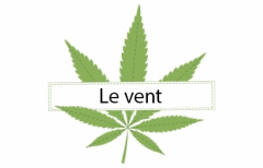 Titre Le vent
