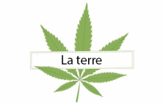 Titre La terre