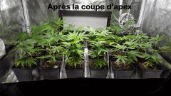 après