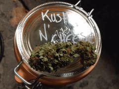 KnC
