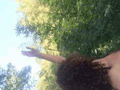 IMG 6484