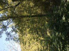 IMG 6487 (1)