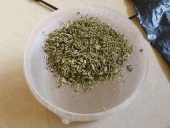 DSCF0064