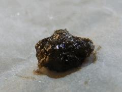DSCF6806