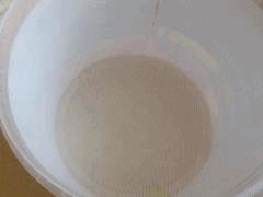 DSCF0063