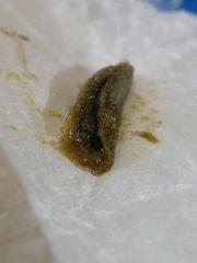 DSCF6854