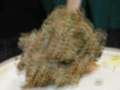 DSCF6155