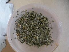 DSCF6033