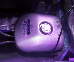 IMG 4476