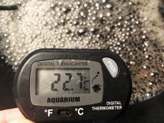 IMG 4571