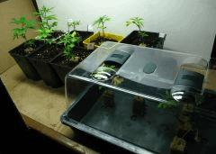 nursery01