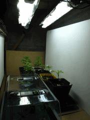 nursery02