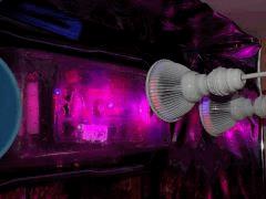 DSCN1832 (FILEminimizer)