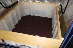 IMG 5527