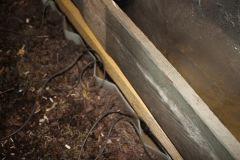 copie 0 IMG 5548