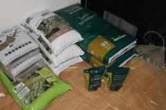 IMG 5529