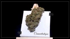 Cannartistique Uk exodus cheese Cut tableau chevalet 2