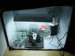 DSCF6166