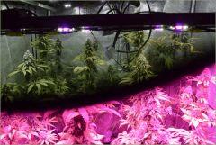 Test Lunettes Method 7 led (2)