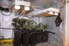 systeme blumat
