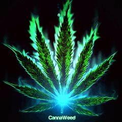 Cannaweed FLamme gazeuse