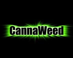 Cannaweed VS Photoshop !