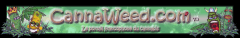 bancwV3