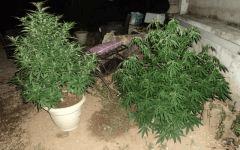 No name Et jack La mota