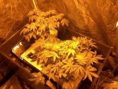 1 hydro