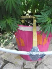 Cerclage home made pour easy palissage :)