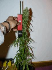 GHS SSH F 89 #1