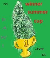 Cup win