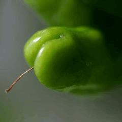 Peter’s pepper