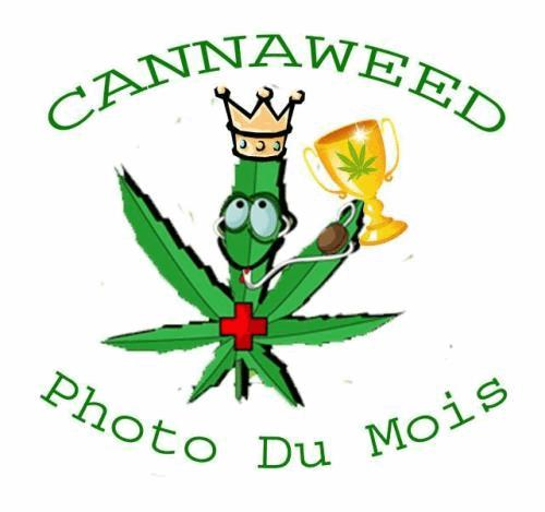 logo photo du mois copie.jpg