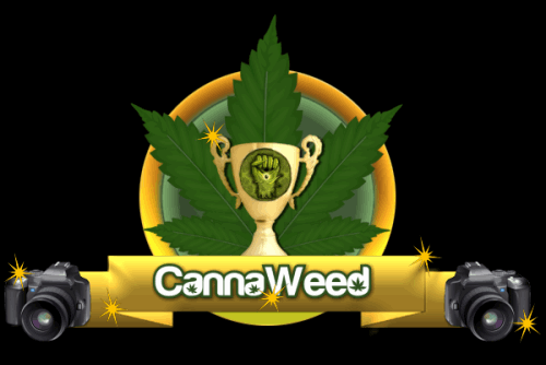 photodumoiscanaweed.png