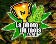 271904PhotodumoisModle2.png