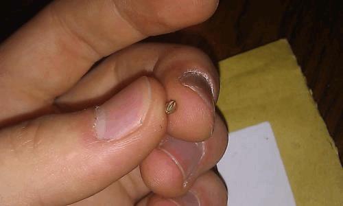 post-761776-0-31996300-1327768278_thumb.jpg