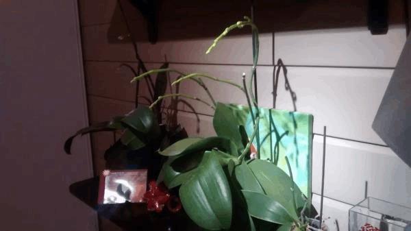 IMG_20141130_180244484.jpg