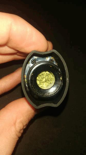 IMAG2937.jpg