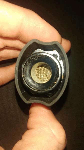 IMAG2936.jpg