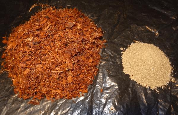 Culture Organique# Coco+BAE (Gro-Kashi).jpg