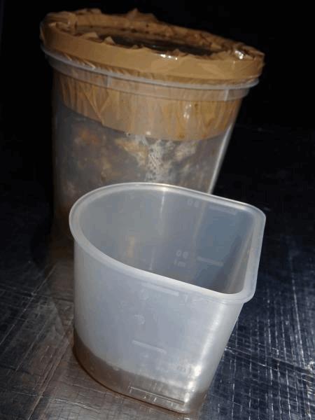 Culture Organique Bokashi#3.jpg