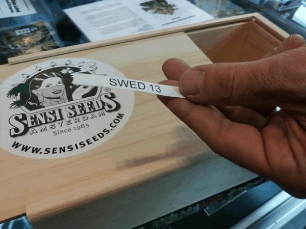 Swed13..jpg