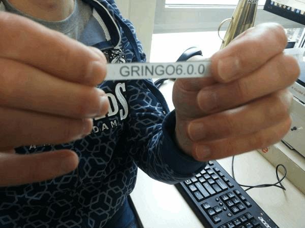 gringo600.jpg