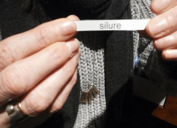 Silure.jpg