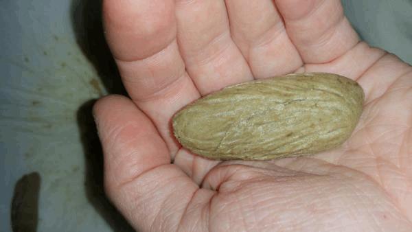 post-843436-0-86039500-1453404996_thumb.jpg