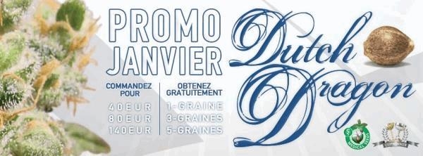 FR_JANUARY_PROMO_2016.jpg