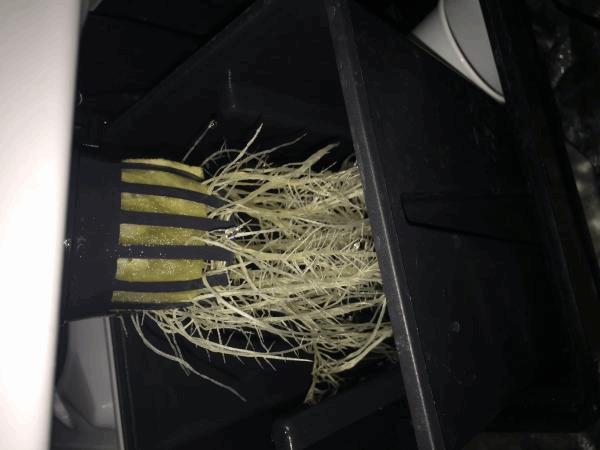 post-861518-0-89490100-1485383537_thumb.jpg