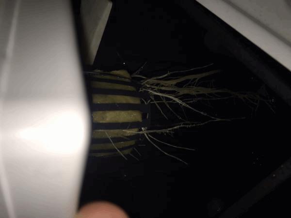 post-861518-0-90743300-1485383538_thumb.jpg